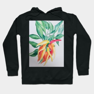 Pepper plant watercolour painting Hoodie